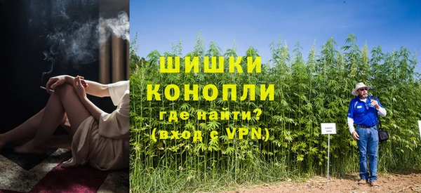 трава Алзамай
