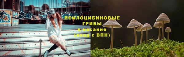 трава Алзамай