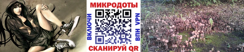 Галлюциногенные грибы Cubensis  что такое   Новая Ляля 